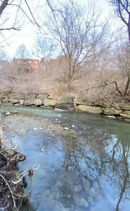 Nature Retreat On The Don River And Trail, 2 King Bdrm Unit, Free Parking, Private Entry Toronto