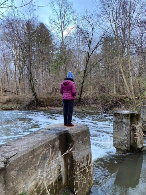 Nature Retreat On The Don River And Trail, 2 King Bdrm Unit, Free Parking, Private Entry * Toronto