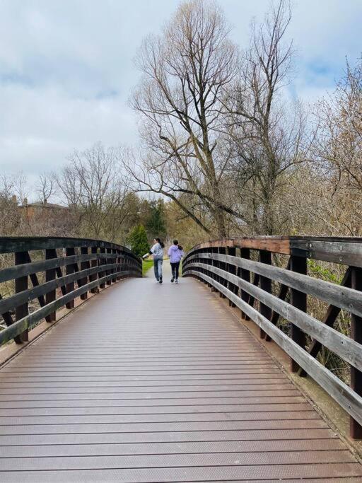 Nature Retreat On The Don River And Trail, 2 King Bdrm Unit, Free Parking, Private Entry Apartment