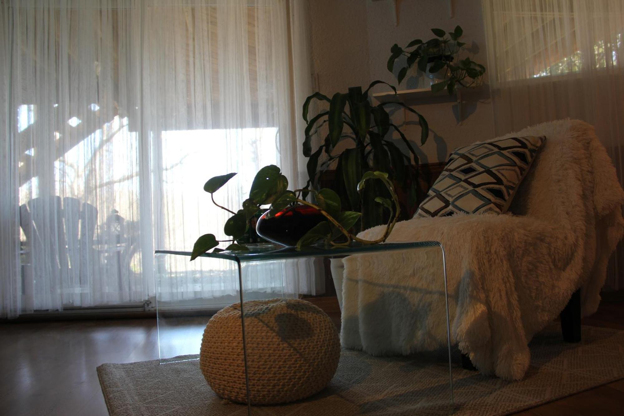 Nature Retreat On The Don River And Trail, 2 King Bdrm Unit, Free Parking, Private Entry Apartment