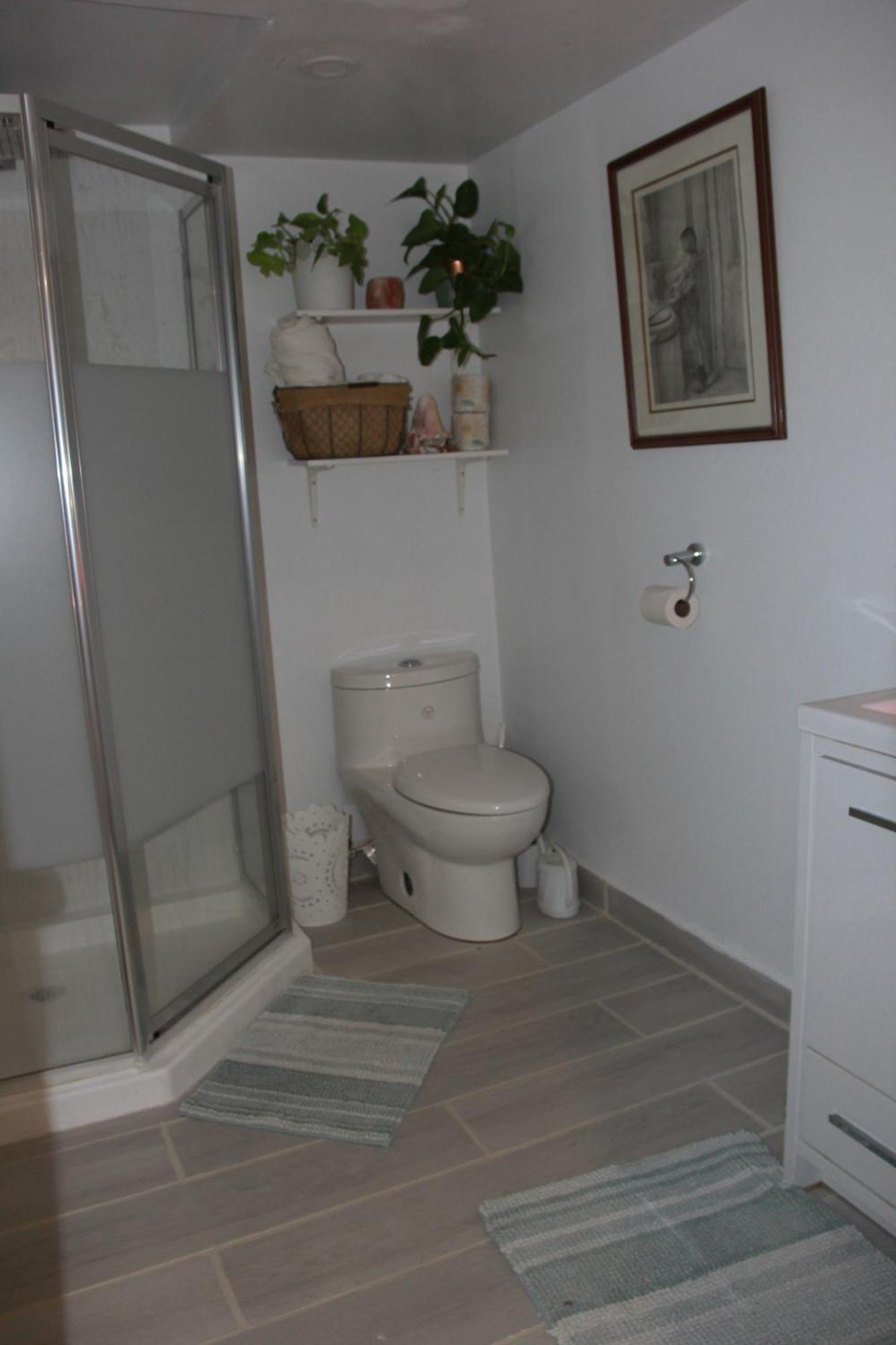Apartment Nature Retreat On The Don River And Trail, 2 King Bdrm Unit, Free Parking, Private Entry *